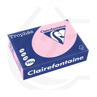 Clairefontaine papier roze 210 grams A4 ( 10 stuks) (Clairefontaine-210Roze)