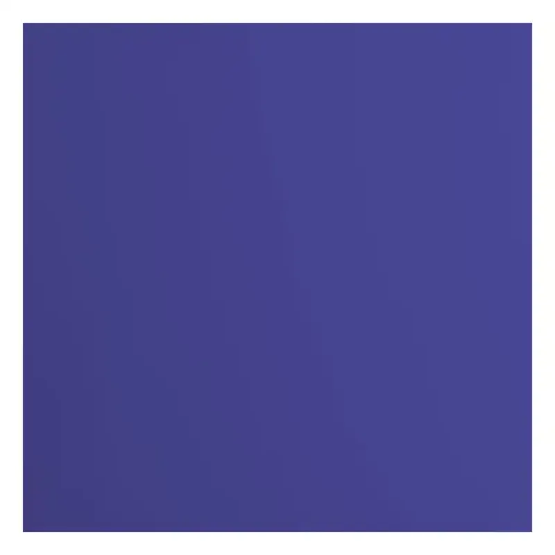 Florence  Cardstock Papier 216g Glad 30,5x30,5cm Ink (2926-051)  per stuk