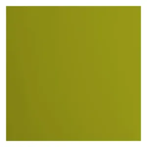 Florence  Cardstock Papier 216g Glad 30,5x30,5cm Fern (2926-072)  per stuk