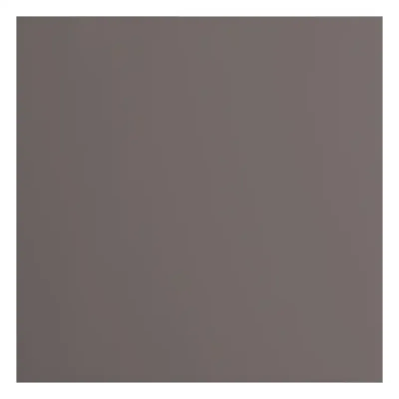 Florence  Cardstock Papier 216g Glad 30,5x30,5cm Concrete(2926-087)  per stuk