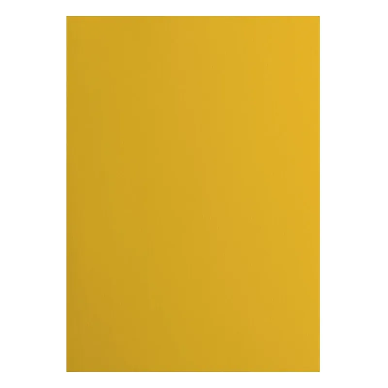 Florence  Cardstock smooth A4 Bee 10x (2927-009)