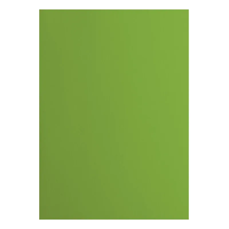Florence  Cardstock smooth A4 Frog 10x (2927-074)