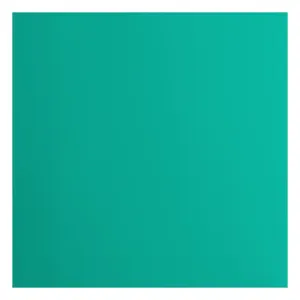 Florence  Cardstock Papier 216g Glad 30,5x30,5cm Spa (2926-060)  per stuk