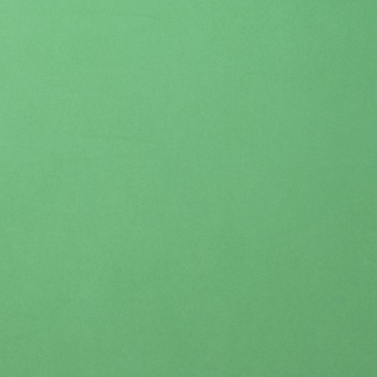 Florence • Cardstock smooth A4 Emerald 10x (2927-058)