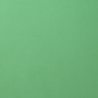 Florence • Cardstock smooth A4 Emerald  (10 stuks) (2927-058)