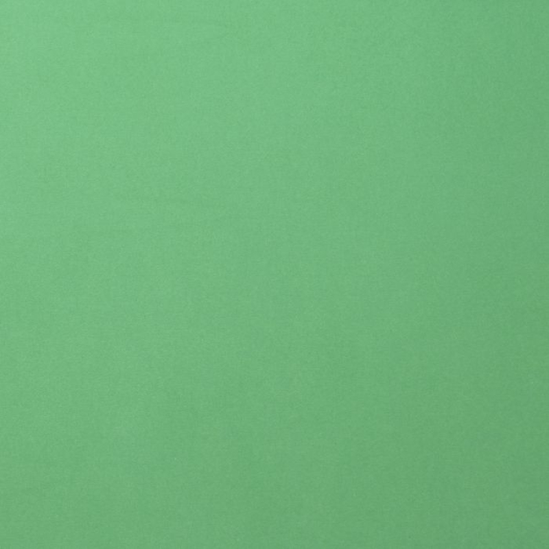 Florence  Cardstock smooth A4 Emerald 10x (2927-058)