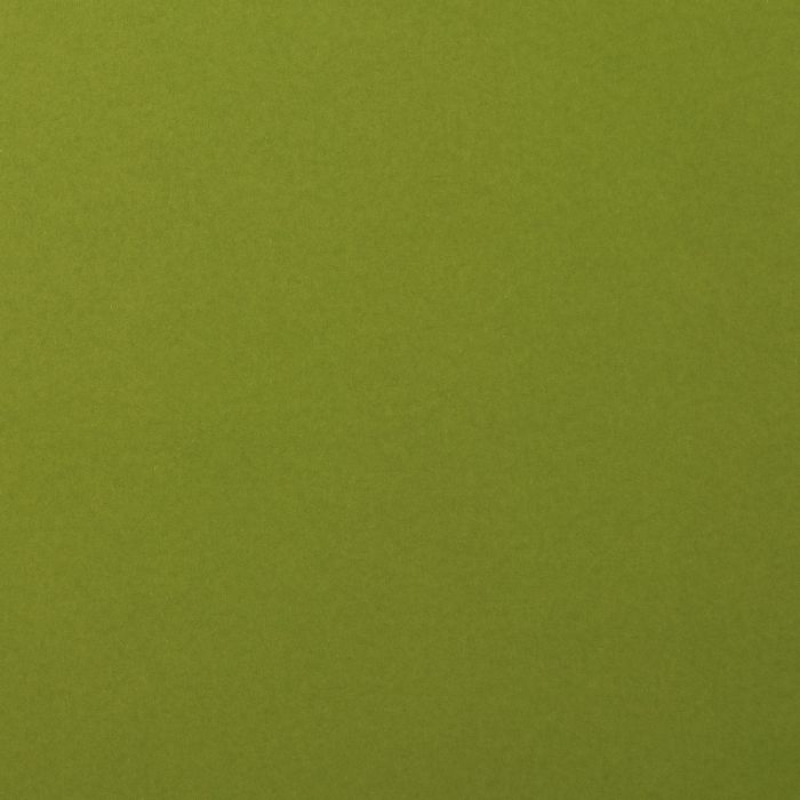 Florence  Cardstock smooth A4 Olive 10x (2927-073)