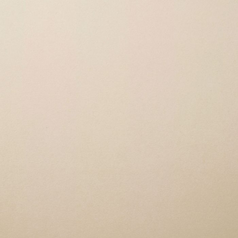 Florence   Cardstock smooth A4 Cool grey 10x (2927-082)