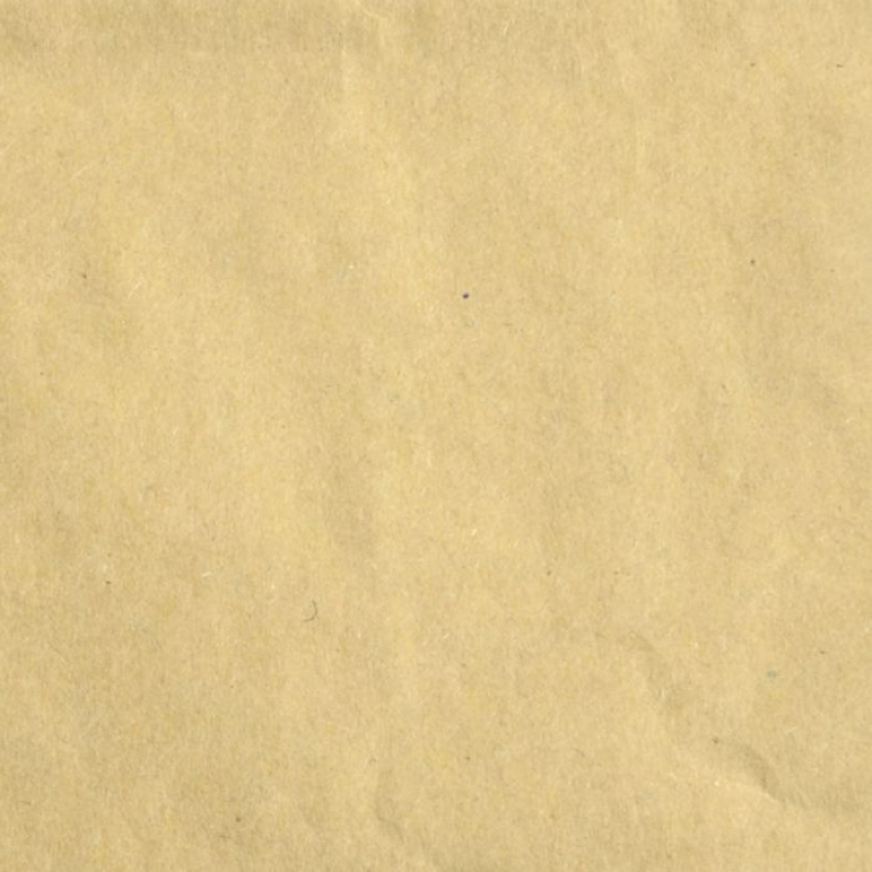 Florence  Cardstock Papier 216g Glad 30,5x30,5cm Kraft light (2926-099)  per stuk