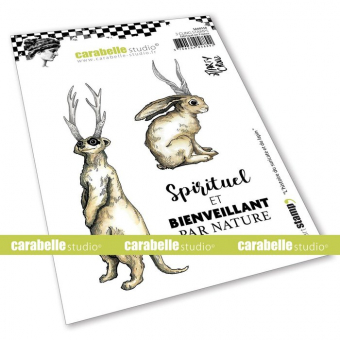 Carabelle Studio • Cling stempel A6 L'histoire du suricate et du lapin (SA60558)