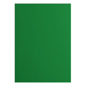 Florence  Cardstock smooth A4 Broccoli 10x (2927-077)