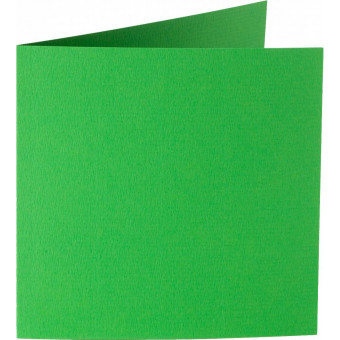 Papicolor 6X Dubbele Kaart met envelop 132X132mm Grasgroen (310907)