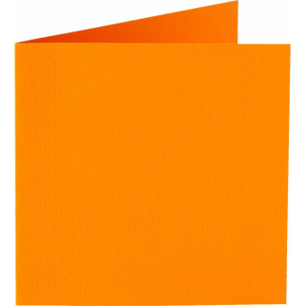 Papicolor 6X Dubbele Kaart met envelop 132X132mm Oranje (310911)