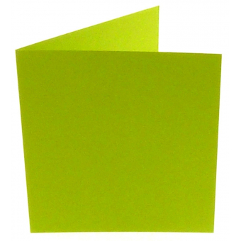 Papicolor Apple Green Square Double Cards (310967)
