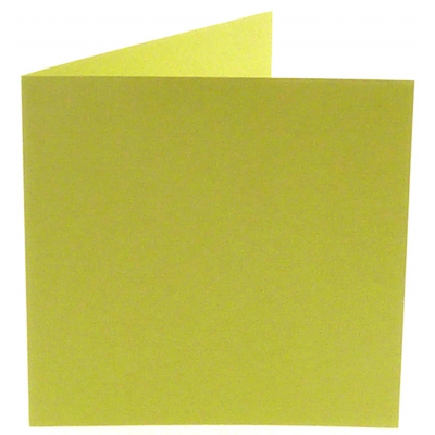 Papicolor Soft Green Square Double Cards (310970)