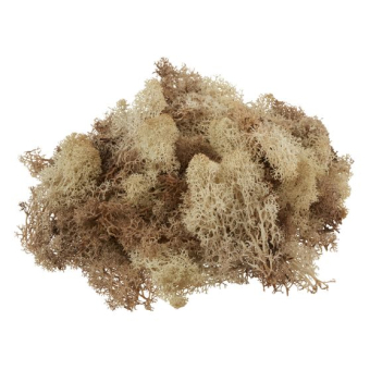 VBS IJsland mos, 100 g (61571600)