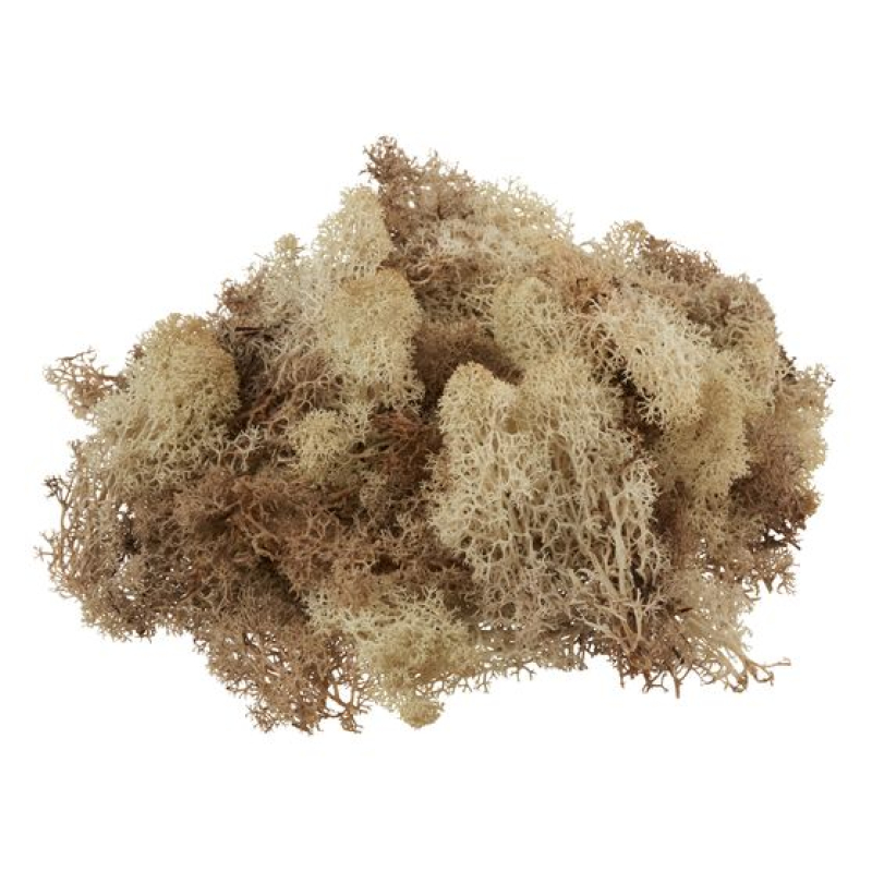 VBS IJsland mos, 100 g (61571600)