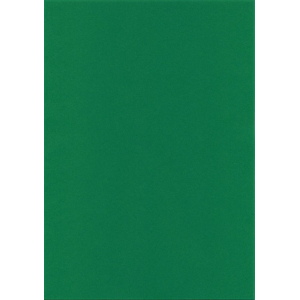 Vellum Perkament papier A4 transparant papier 5 vellen A4 Grasgroen (papier/5048 4658)