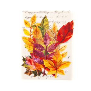 Prima Marketing Leaf Embellishments Fall Solstice (635664)