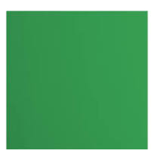 Florence  Cardstock Papier 216g Glad 30,5x30,5cm Holly (2926-076)   per stuk