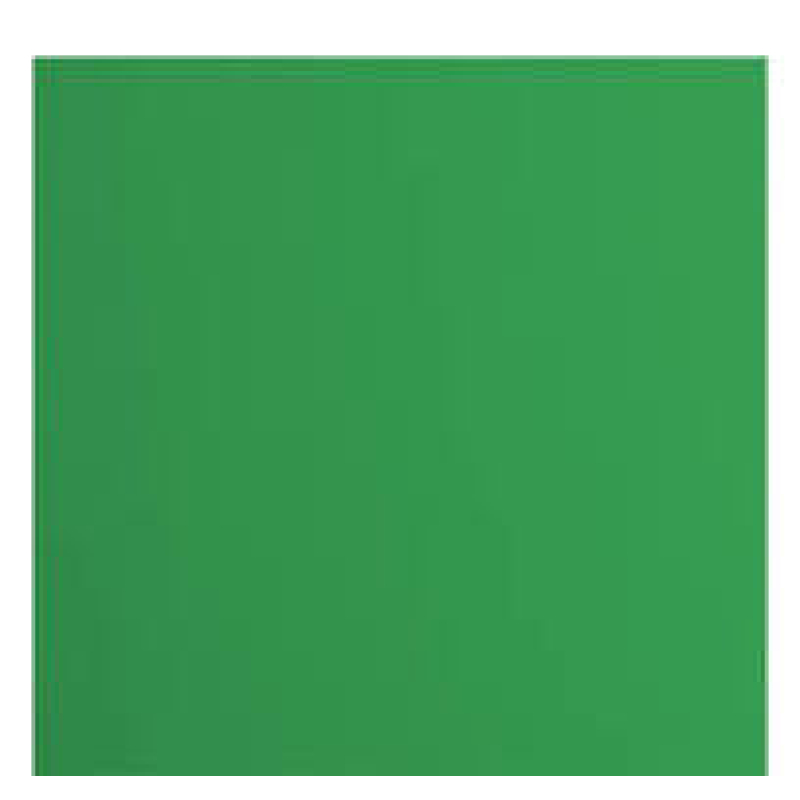 Florence  Cardstock Papier 216g Glad 30,5x30,5cm Holly (2926-076)   per stuk