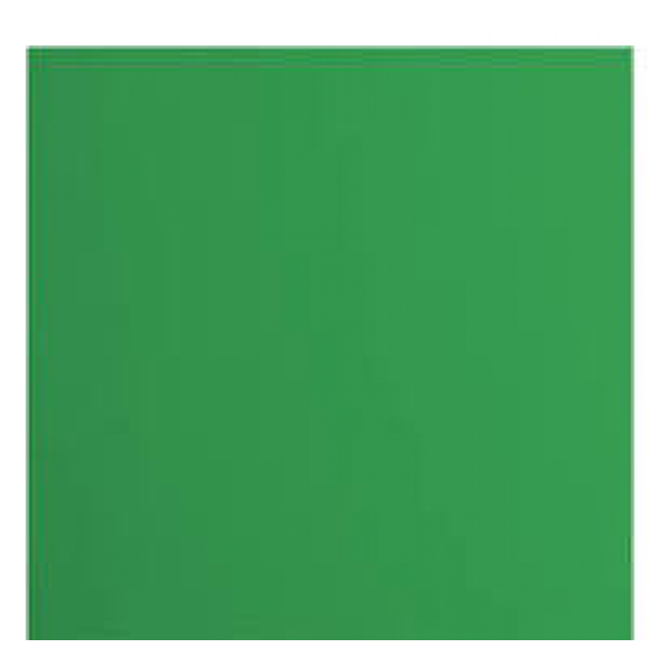 Florence Cardstock Papier 216g Glad 30,5×30,5cm Holly (2926-076) Florence Cardstock Papier 216g Glad 30,5×30,5cm Holly (2926-076)