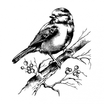 Bluebird and Branch with Berries Unmounted Rubber Stamps (CI-505)