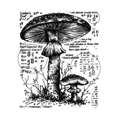 Counting Toadstools Unmounted Rubber Stamps (CI-574)