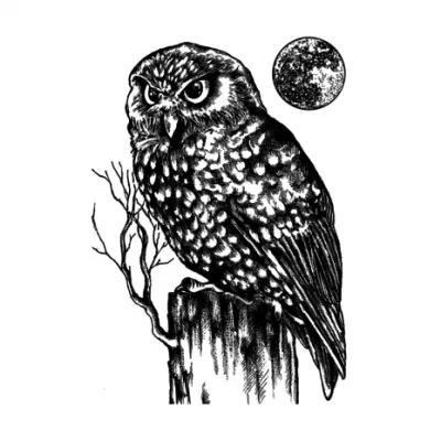 Owl and Moon Unmounted Rubber Stamps (CI-512)