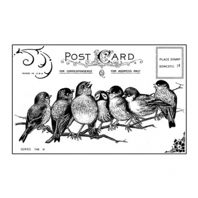 Seven Cheeky Songbirds Unmounted Rubber Stamps (CI-230)