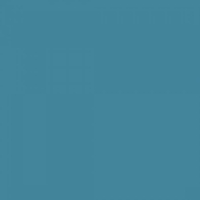 Cricut Infusible Ink Transfer Sheet Patters Animal Brights (2006765)