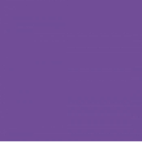 Cricut Infusible Ink Transfer Sheets Ultraviolet (2006790)