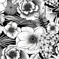 Cricut Joy Deluxe Paper Black & White Botanicals (2008049)
