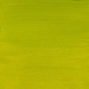 Amsterdam Standard Series Acrylverf tube 20 ml Olijfgroen Licht 621 (17046210)