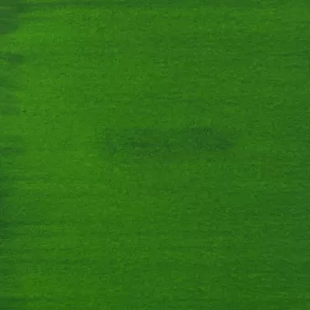 Amsterdam Acrylinkt fles 30 ml Permanentgroen Licht 618 (17206180)