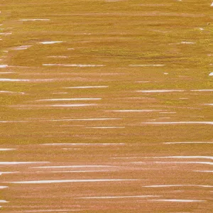 Amsterdam Acryli marker 2 mm Donkergoud 803 (17538030)