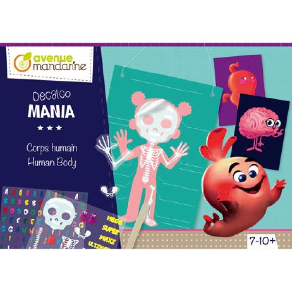 Avenue Mandarine Creatieve Box, Decalco, Menselijk lichaam (KC096C)