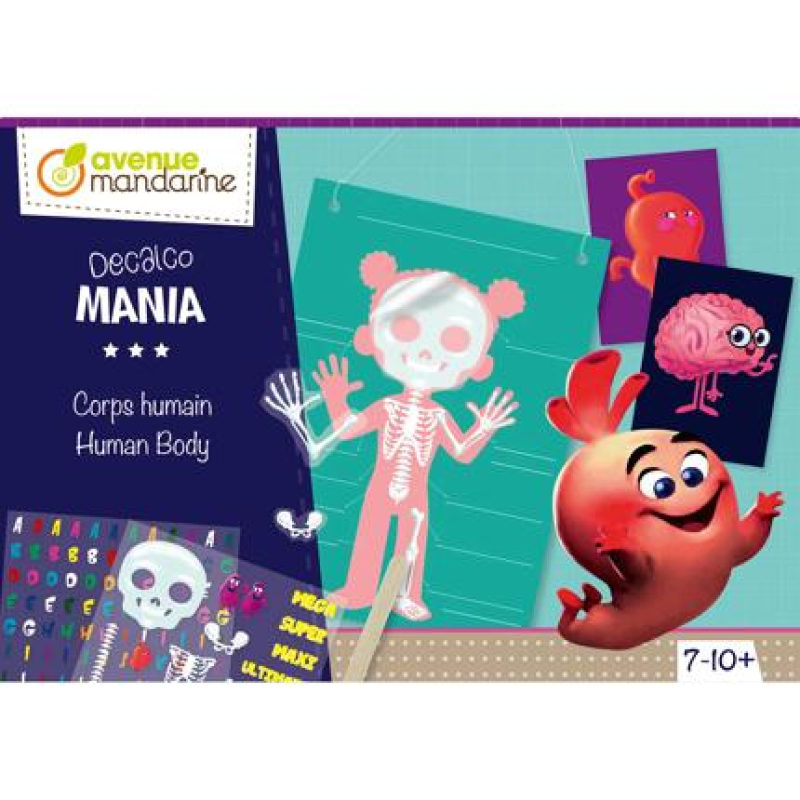 Avenue Mandarine Creatieve Box, Decalco, Menselijk lichaam (KC096C)