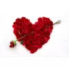 Valentijn