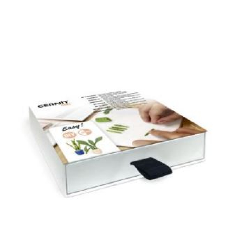 Cernit Kit starters set miniplanten (CEKIT002C)
