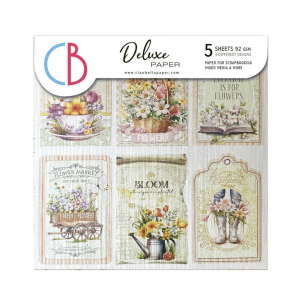 Ciao Bella Flower Shop 6x6 Inch Deluxe Paper Pearl (5pcs) (CBDQ011)
