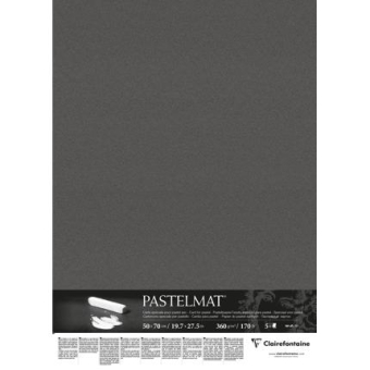 Clairefontaine Pastelmat blad 360g 50x70cm - Antraciet (96009C)