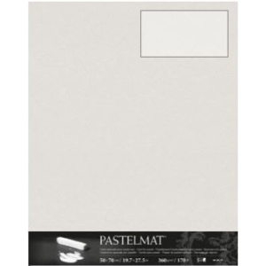 Clairefontaine Pastelmat blad 360g 50x70cm - Lichtgrijs (96020C)
