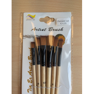 CMP Penseel set - set van 6 stuks (CMP-penseelset-1)