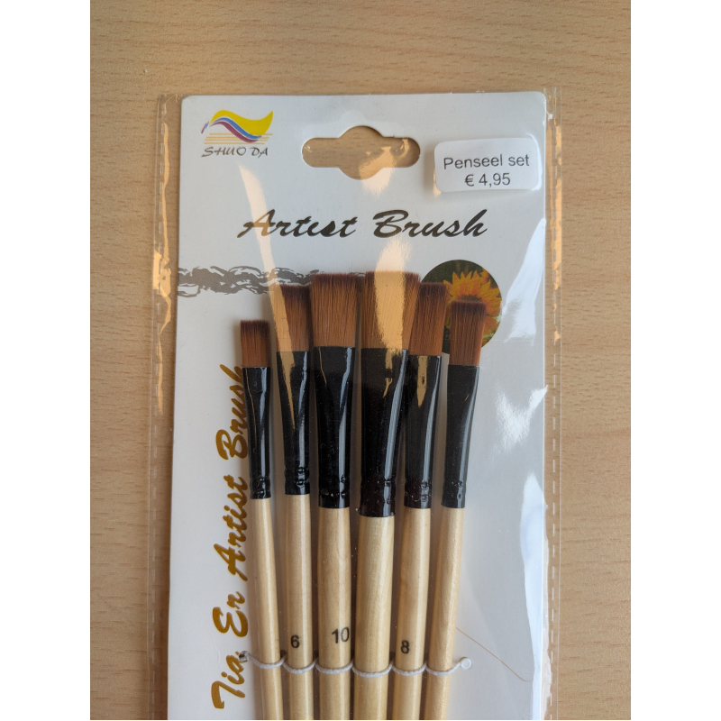 CMP Penseel set - set van 6 stuks (CMP-penseelset-1)