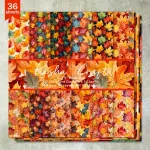 CMP Scrapboek papier losse vellen 36 stuks (CMP-SCRAP-001)