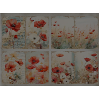 CMP 12 sheets poppy girl bloemen A6 (cmp-poppy)