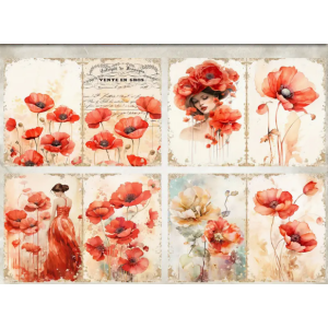 CMP 12 sheets poppy girl bloemen A6 (cmp-poppy)