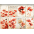 CMP 12 sheets poppy girl bloemen A6 (cmp-poppy)