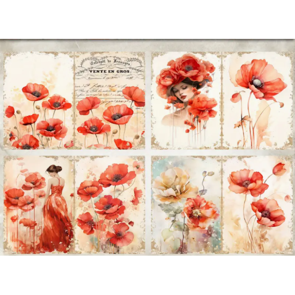 CMP 12 sheets poppy girl bloemen A6 (cmp-poppy)